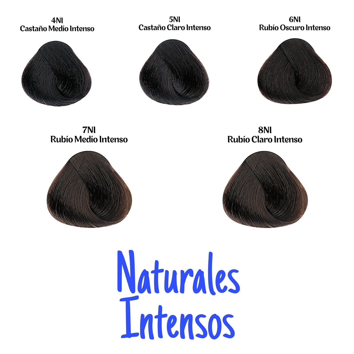 Tintura Evolution (Naturales Intensos) - Alfaparf Milano